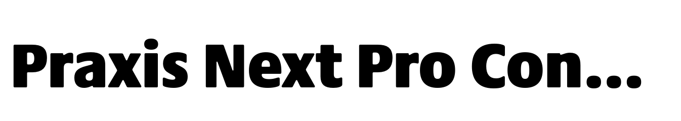 Praxis Next Pro Condensed ExtraBlack